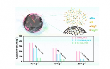 ACS Nano：非晶态 MoS3 锚固在空心碳中作为镁离子电池的正极材料