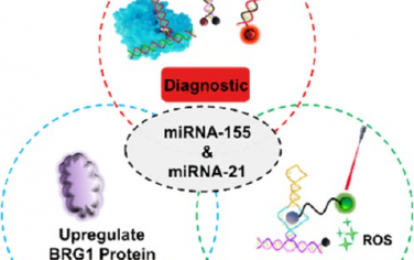 JACS：AND逻辑门控激活的CRISPR/RNA适配体系统用于实现生物标志物驱动的诊疗