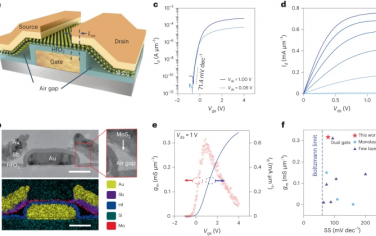 Nature Photonics：工作在千兆赫频率下的二维半导体集成电路