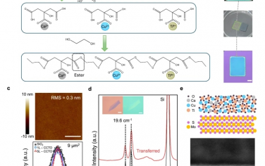 Nat Commun：用于二维电子器件的可转移、湿化学衍生的高 k 非晶态金属氧化物电介质