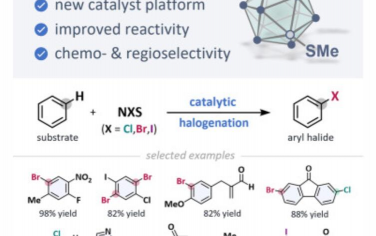 Chem：碳硼烷催化剂的芳烃卤化反应