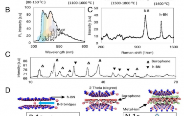 PNAS：利用h-BN层可控合成硼酚气凝胶