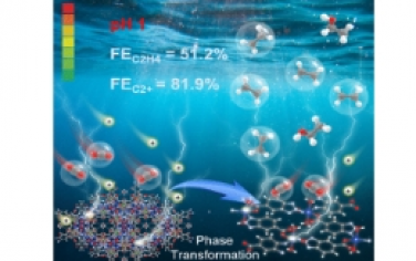 ACS Nano：原位相变金属有机骨架在强酸性介质中高效将二氧化碳电还原为多碳产物