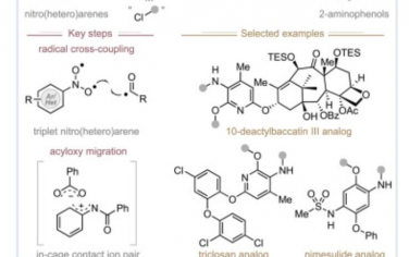 Chem：激发态铜催化与三重硝基（杂）芳烃的合并直接合成2-氨基苯酚衍生物 10.1016/j.chempr.2023.11.005