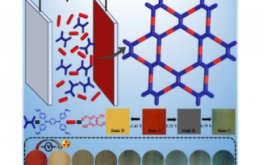 Angew：原位电化学界面聚合制备可调电致变色共价有机框架