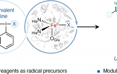 JACS：酶催化烯烃三氟甲基化叠氮化