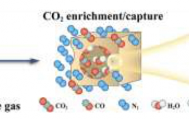 Angew：在金属有机框架的微孔中捕获二氧化碳并同时促进其电还原