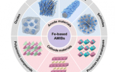Chem. Soc. Rev.：碱金属离子电池铁基电极材料的研究进展与展望