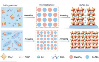 AEM：操纵中间表面能实现高性能全无机钙钛矿光伏
