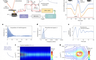 Nature Nanotechnology：基于原子力显微镜的时域二维红外纳米光谱