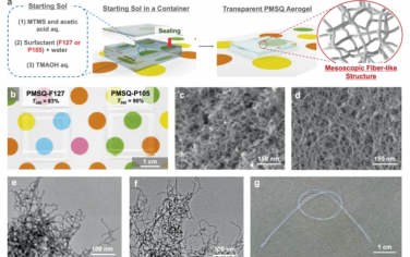 Nat. Commun.：表面活性剂诱导介观纤维状组装的透明聚甲基倍半硅氧烷气凝胶的异常柔性