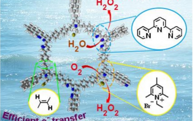大连理工大学Angew：吡啶阳离子COF可见光催化合成H2O2