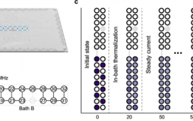 Nature Communications：超导处理器中的稳定量子输运的出现