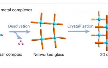 Nature Synthesis：金属配合物的去溶剂化构建金属-有机框架玻璃