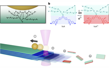 Nature Nanotechnology：通过定向分解微晶纤维在流体中施加拉力