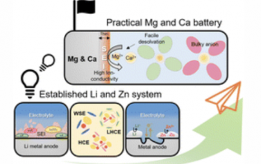Chem. Soc. Rev.：锂和锌系统对推进镁和钙金属电池的启示
