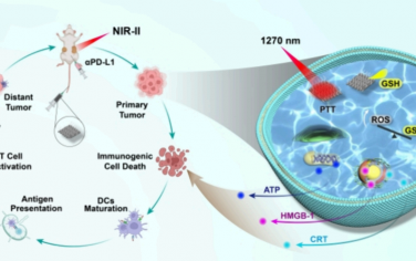 Nano Lett：相和缺陷工程化MoSe2纳米片用于增强近红外二区光热免疫治疗