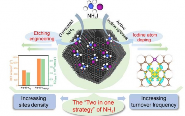 湖南大学Angew：二合一策略增强Fe-N-C位点的密度和TOF