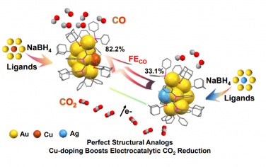 安徽大学Angew：Au8Cu1和Au8Ag1电催化还原CO2的结构-活性关系