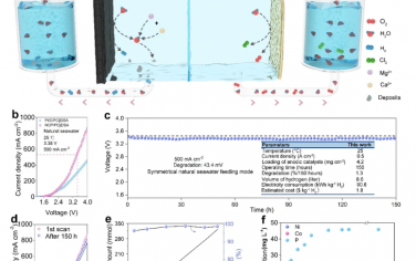 Nature Commun：改善气泡/沉淀效应增强电催化海水制氢