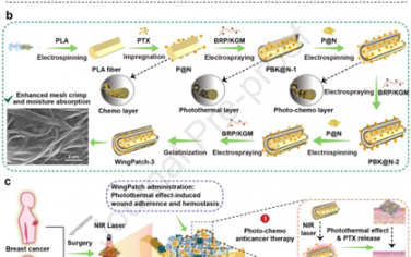 Biomaterials：仿蝴蝶翅膀的光活性纳米纤维贴片用于晚期术后肿瘤治疗