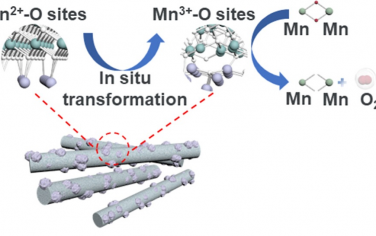 华中科技大学&香港理工大学JACS：Ag-MnO2原位形成Mn3+并且双位点酸性OER