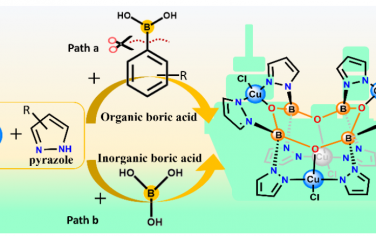 福建物质结构研究所Angew：合成有机分子修饰的硼酸盐用于电催化CO2还原