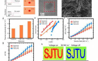 Nat Commun：低k纳米电介质促进高k铁电聚合物中电场诱导的相变，用于可持续电热制冷