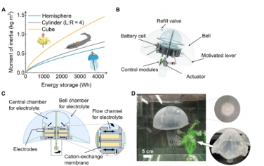Science Advances：水系电池在高容量水母机器人中的多功能用途