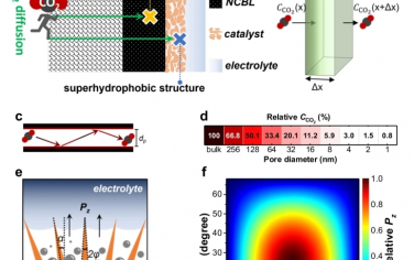 Nat Commun：超薄超疏水大孔结构气体扩散增强电极用于酸性CO 2电还原