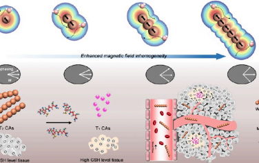 ACS Nano：磁场优化的顺磁性纳米探针用于实现T2/T1可切换的组织病理学水平MRI