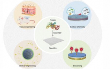 Chem. Soc. Rev.：蛋白质基生物活性涂层：从纳米结构到应用