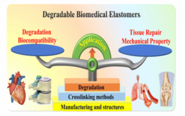 Chem. Soc. Rev.：可降解生物医用弹性体