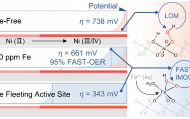 清华大学JACS：溶液Fe离子的瞬态活性位点OER增强