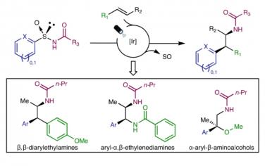 Nature Chemistry：手性芳基亚磺酰胺作为可见光介导的不对称烯烃氨基芳基化反应的试剂