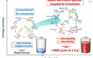 EES：氧化还原钼-氯物种在低腐蚀离子液体中耦合Se氧化转化用于快速动力学和耐用锌电池