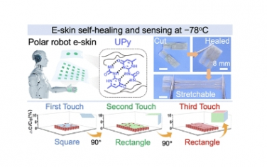 JACS：用于极地探索的 -78 °C 高度可拉伸、自我修复和敏感的电子皮肤