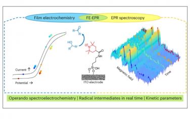 Nature Chemistry：薄膜电化学EPR光谱跟踪表面固定催化剂中的自由基中间体