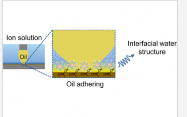 JACS：基于离子调制的界面水控油粘附