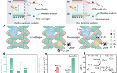 重庆大学Adv Mater：不含贵金属助催化剂增强光催化制氢实现超高量子效率