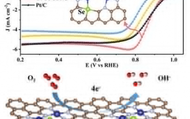 天津大学Adv Mater：原子分散金属和非金属之间协同增强ORR反应的机理