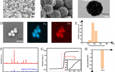 Adv. Mater：ZnFe2O4（ZFO）微马达产生的微环境机械转矩可抑制肿瘤迁移