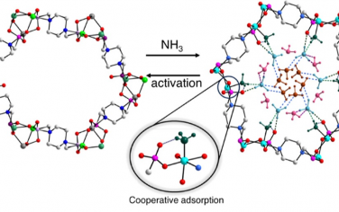 杨四海JACS：柔性磷酸酯MOF协同吸附增强捕获NH3