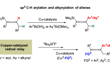 上海有机所JACS：Cu催化联烯C-H键芳基化和炔基化