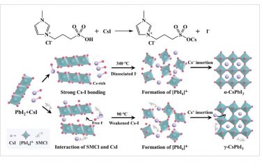 AEM：通过Cs—I键弱化低温处理CsPbI3用于柔性钙钛矿太阳能电池