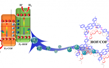 华南农业大学&湖北文理学院&郑州大学Angew：2D HOF异质结光催化制氢