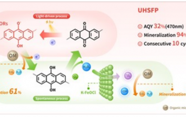 中山大学Adv Mater：氧中心有机自由基自芬顿氧化降解有机污染物