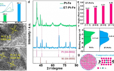 Energy Environ. Sci.：低 Pt 负载且具有晶格应变助力直接乙二醇燃料电池