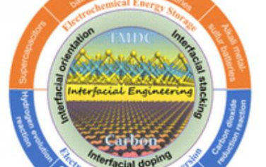 Chem. Soc. Rev.：用于电化学能源应用的过渡金属二硫族化合物/碳异质结构的界面工程