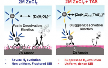 AEM：溶剂化能量学抑制析氢反应以提高锌阳极的稳定性